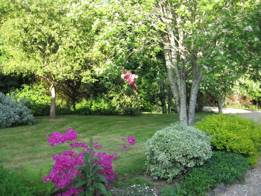 Self Catering Apartment At Beechwalk House. Enniskerry Exterior foto