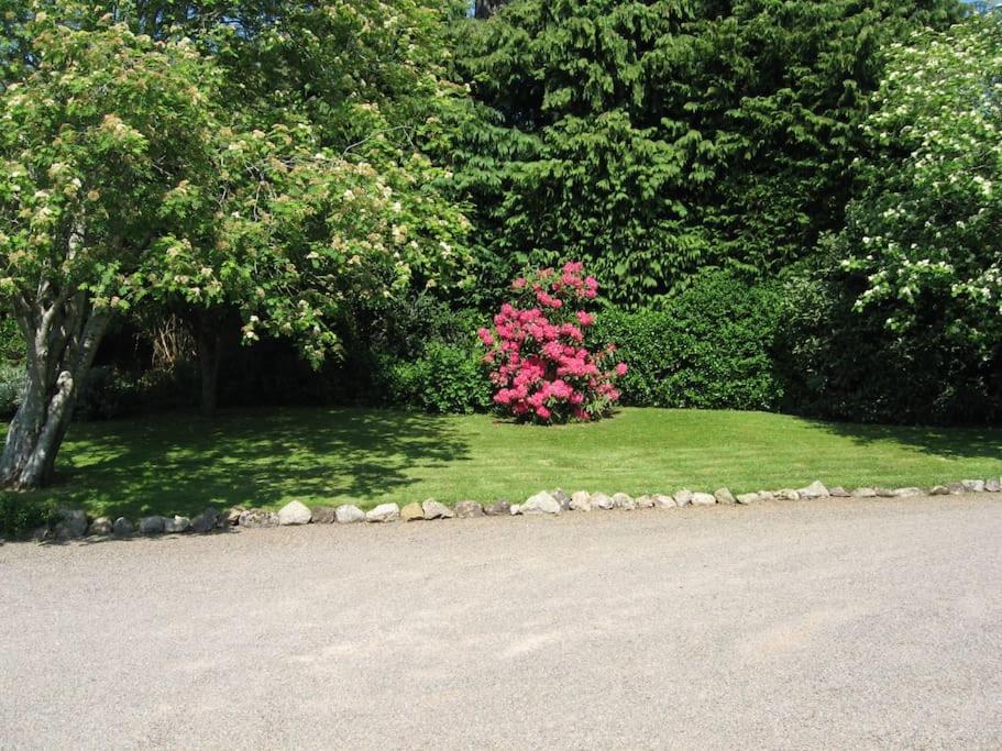 Self Catering Apartment At Beechwalk House. Enniskerry Exterior foto